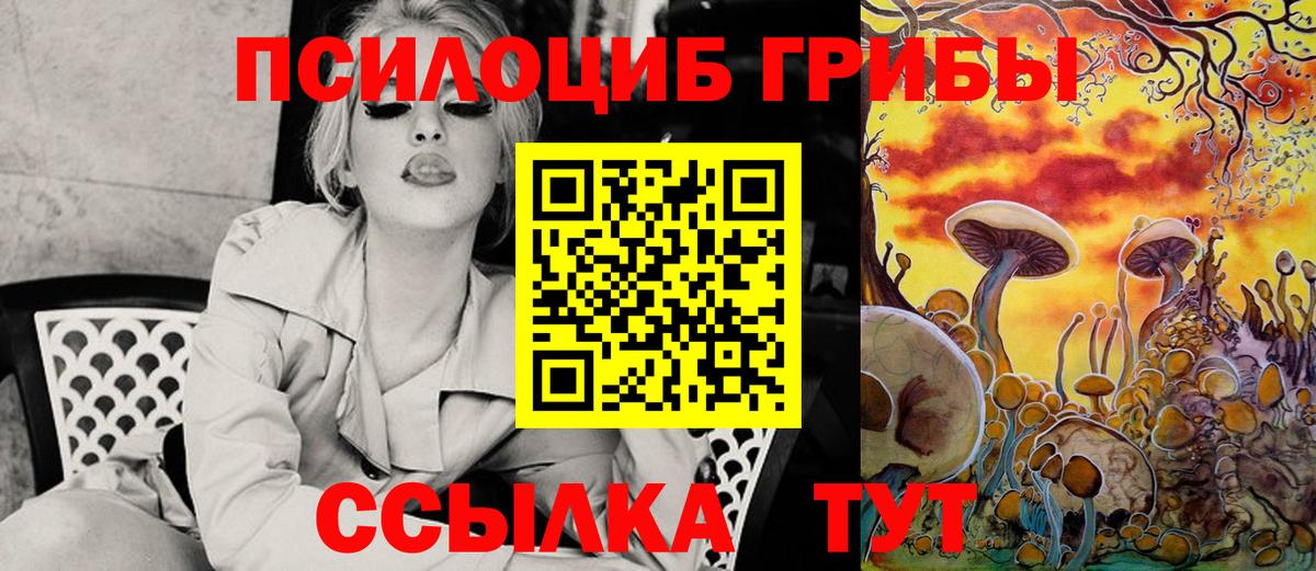 Борисоглебск  как найти   Вход с VPN  Галлюциногенные грибы Psilocybine cubensis 
